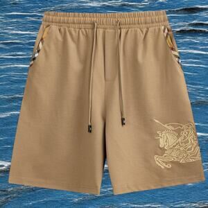 Burberry Men's Shorts in Brown